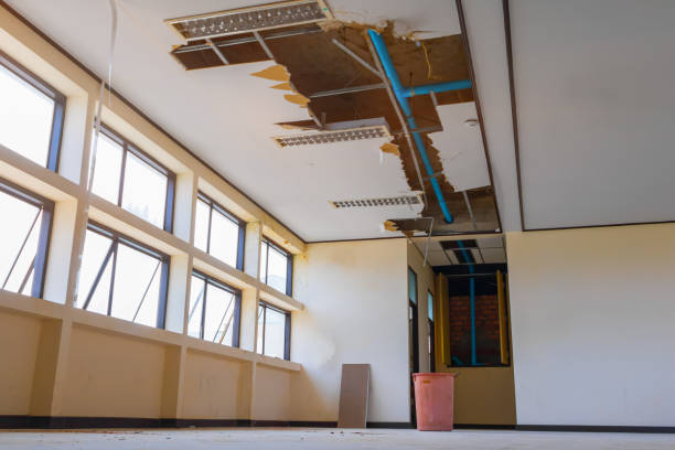 Best Flood damage cleanup  in Cutler, CA