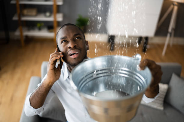 Best Water damage mitigation services  in Cutler, CA