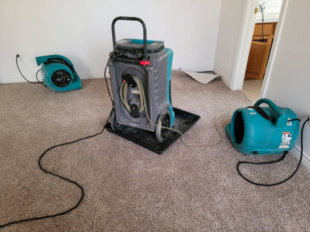 Sewage cleanup and water damage restoration in Cutler, CA