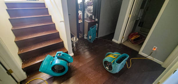 Trusted Cutler, CA Water damage restoration Experts