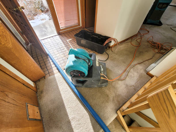 Best Water damage restoration near me  in Cutler, CA