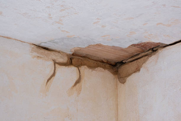 Best 24-hour water damage restoration  in Cutler, CA