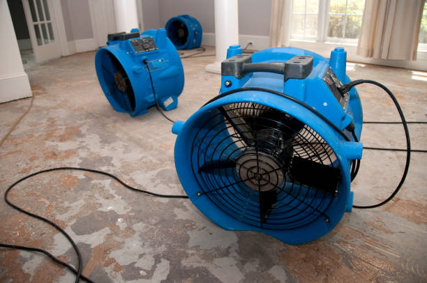 Best Water damage restoration cost  in Cutler, CA