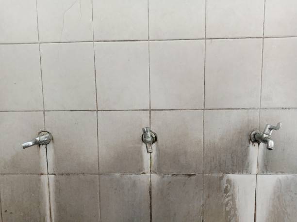 Best Carpet water damage restoration  in Cutler, CA