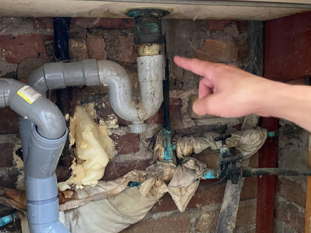 Best Water damage cleanup near me  in Cutler, CA