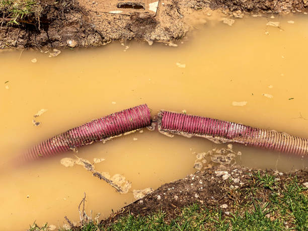 Best Water damage restoration near me  in Cutler, CA